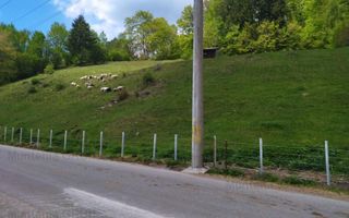 NAMAESTI - Valea Mare Pravat, 7000 mp. teren intravilan, ideal locuinta - Poză 2