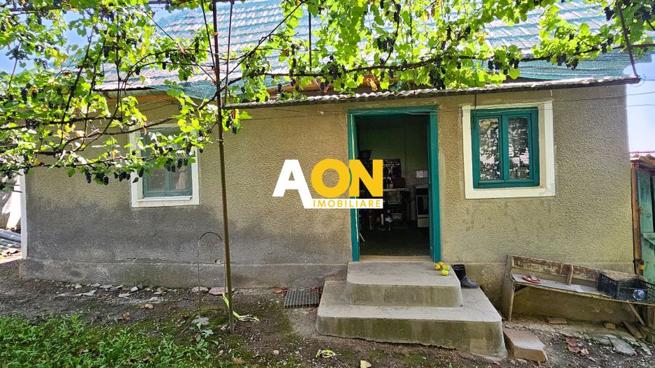 Casă batranească, 3 camere, 2200 mp teren, sat Bucerdea Grânoasă - Poză 9