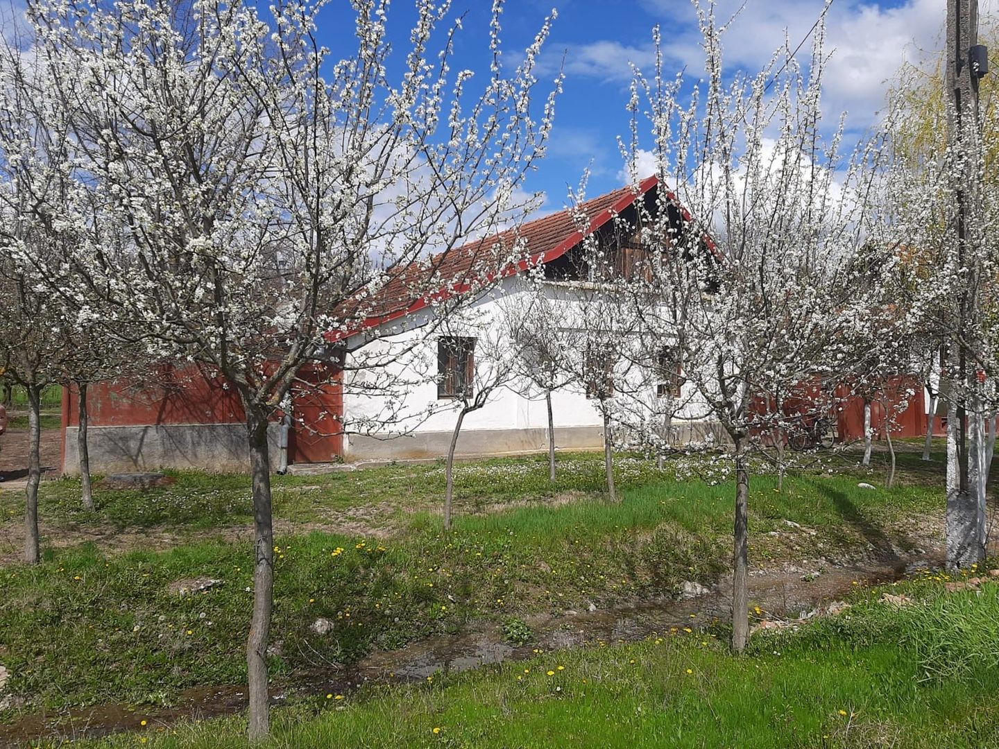 Casă cu teren generos la Bodo - Poză 1