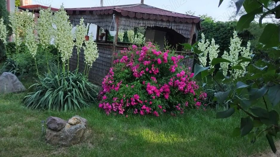 Casa in Comuna Nuci IF - Poză 2