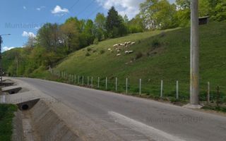 NAMAESTI - Valea Mare Pravat, 7000 mp. teren intravilan, ideal locuinta - Poză 3