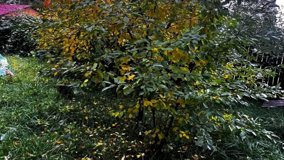 Casă complet renovată, pentru locuință sau pensiune turistică! - Poză 23