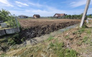 Teren intravilan  13 ari  Catallina - Poză 6