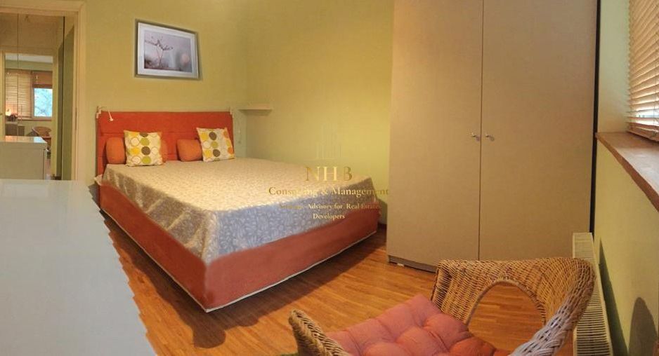 2 camere, Aviator Popisteanu, Agronomia, Domenii - Poză 3