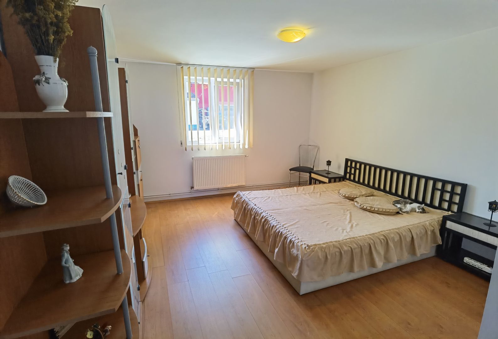 Proprietate industriala  la 35 km de TM - Poză 7