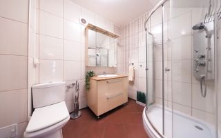 Imobil cu multiple posibilitati de exploatare - Poză 37