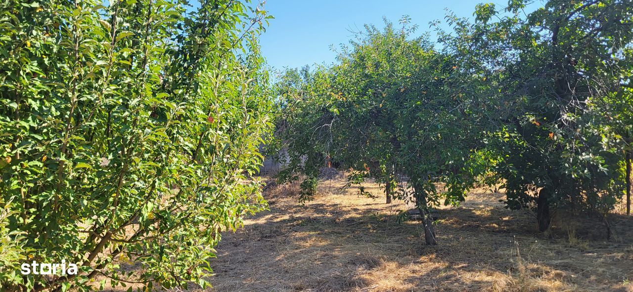 BRASADAS vinde casa in zona str. Teilor. - Poză 4