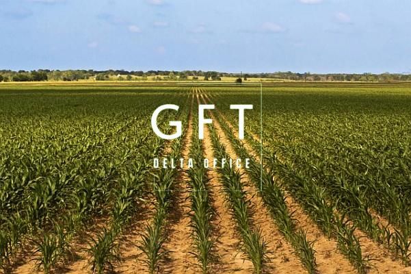 Teren Agricol Domnesti - Bistrita Nasaud - Poză 2