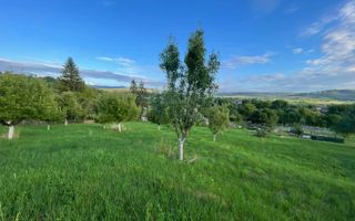 EXCLUSIVITATE! TEREN INTRAVILAN 29.2 ARI + 5.8 ARI TEREN EXTRAVILAN, DE VANZARE - Poză 1