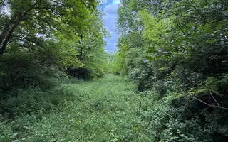 Teren plat-intravilan -3800 mp, cu pădurice și ieșire la râu! - Poză 17