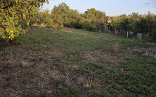 Casă și teren 2177 mp Ortisoara -28ml front-comision 0 - Poză 15