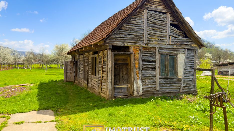 Colț de natură: casă + teren mare în Săvârșin - Poză 6