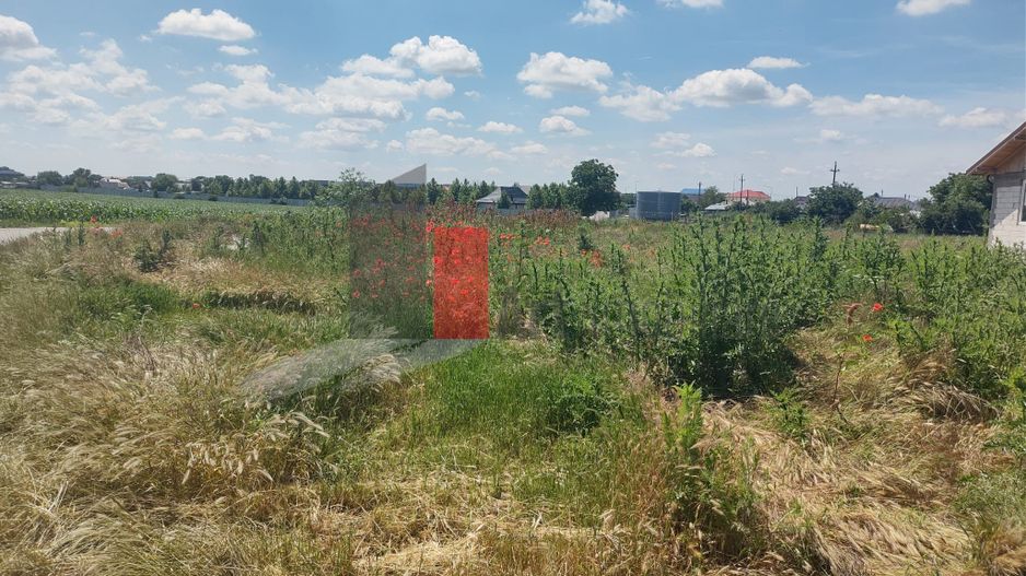 Vânzare 2 loturi de casă Dobreni Giurgiu - Poză 3
