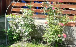 Casă cu teren în Deleni, Iași - Stradă principală - Poză 6