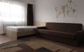 Apartament de inchiriat cu 1 camera ,aproape de USAMV - Poză 2