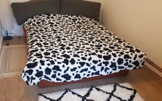 Casa 4 Camere | 600 MP Teren | Avrig - Poză 7