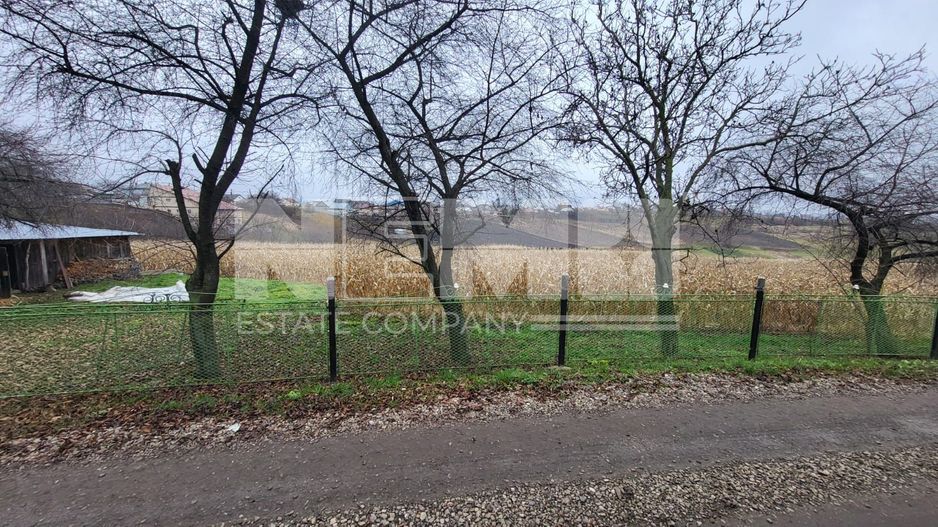 TEREN MOARA I SUCEAVA I LOC DE CASA I 20Ari I 60,000Euro - Poză 2