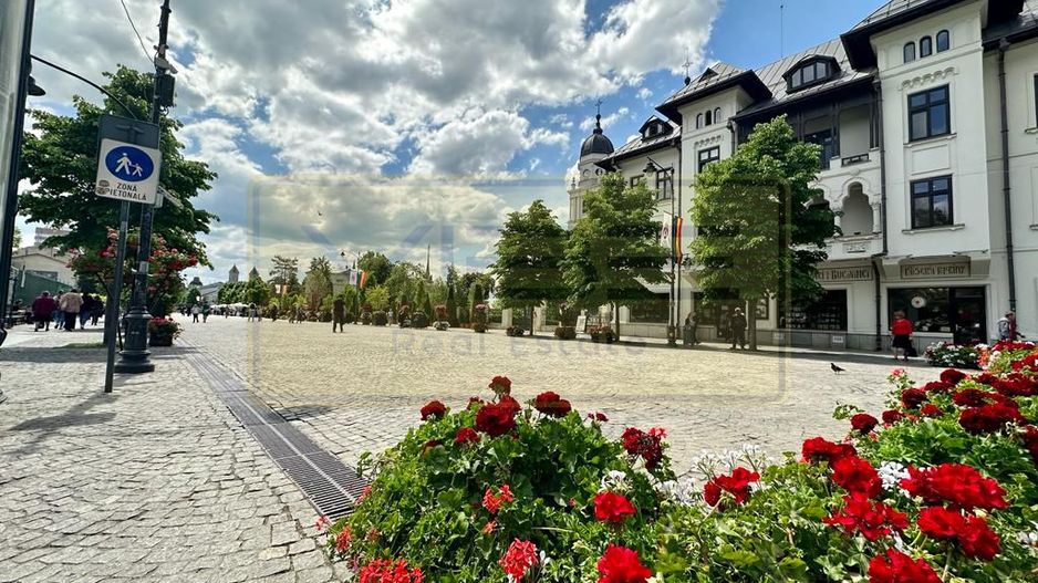 Business la Cheie PE PROFIT !!! Investitii ZERO ! - Poză 1