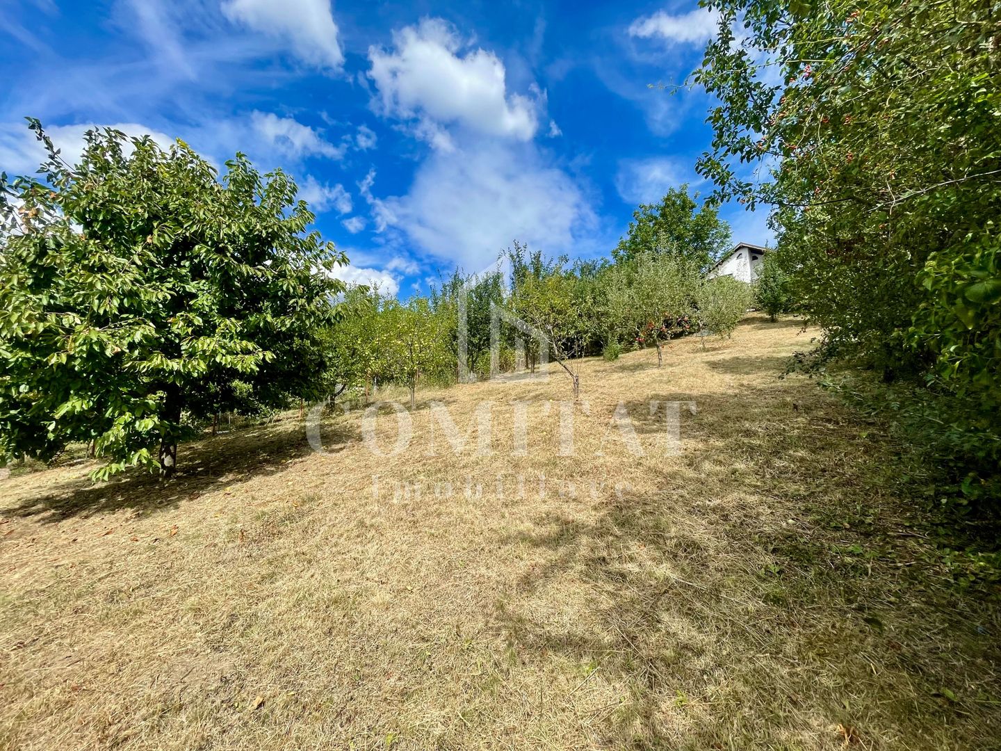 Casă + 1 apartament separat pe teren de 1.949 mp  cu panoramă Chinteni - Poză 28