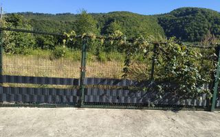 Vand Teren intravilan - Poză 4