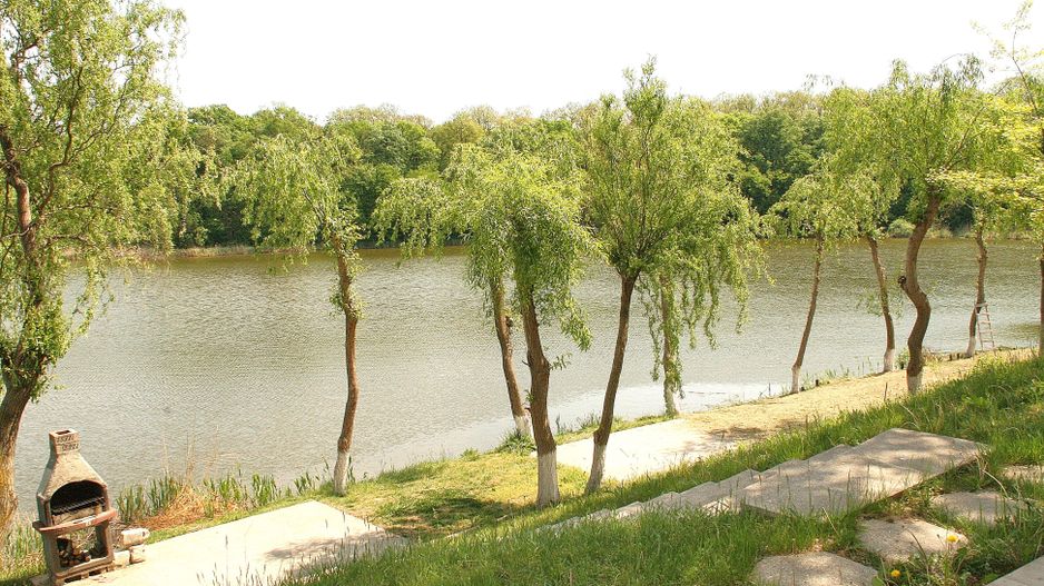 BRANESTI, cu deschidere la Balta Branesti, inchiriere vila 7 camere - Poză 20