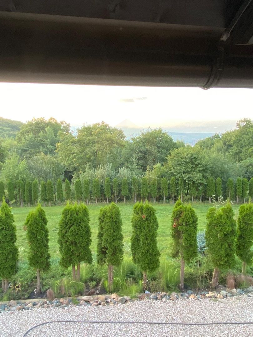 Vanzare teren 3000 mp, cabana, zona D D Rosca, Faget - Poză 4