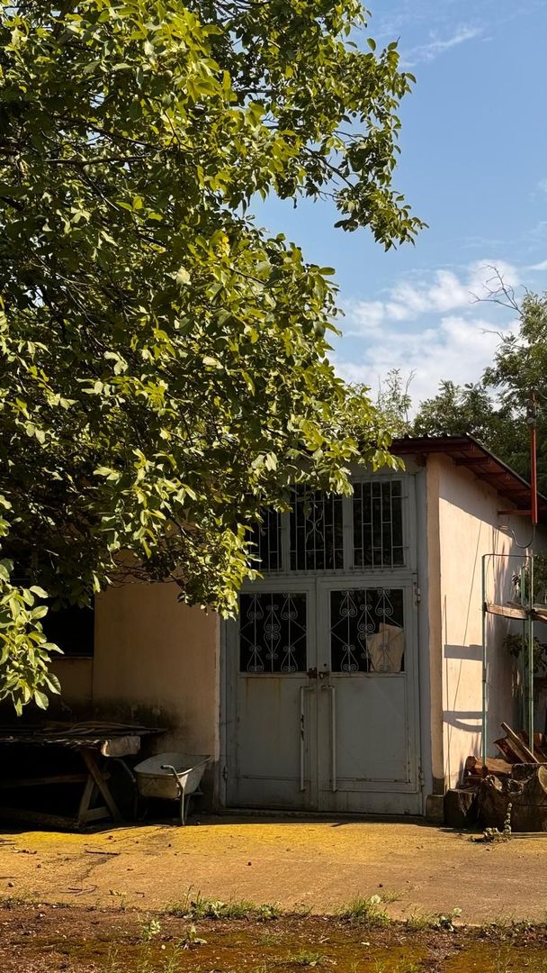 Complex de clădiri administrative – Livada, 310.000 E. Comision 0. - Poză 9