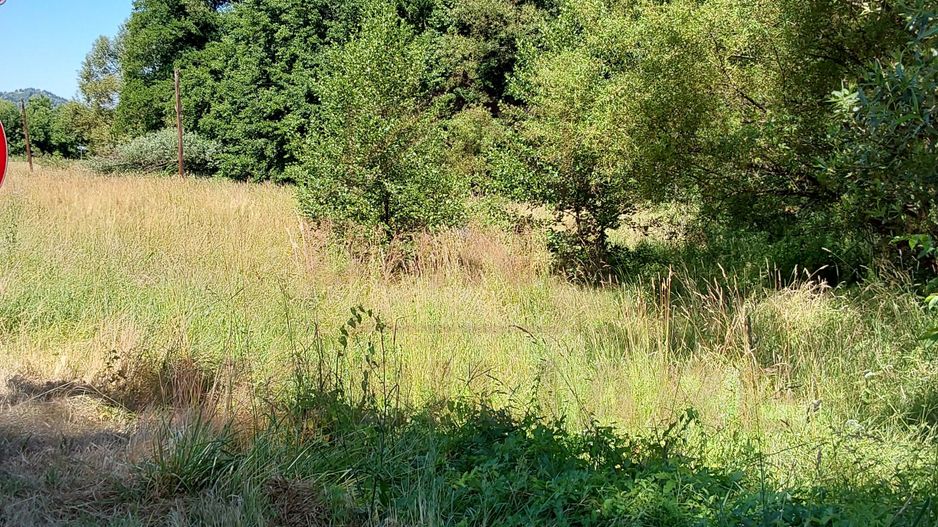 TEREN INTRAVILAN ÎN MARGA-LA DN68 JUD.CARAȘ-SEVERIN - Poză 4