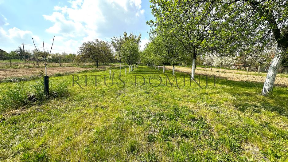 Teren Intravilan de Vânzare, Cetariu, 5450mp - Poză 2