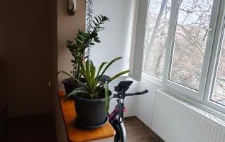 Apartament 4 camere, etaj 2, boxa, garaj - zona Steaua - Poză 13