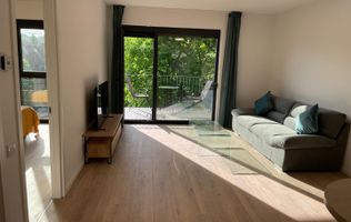 Apartament 2 camere Domenii