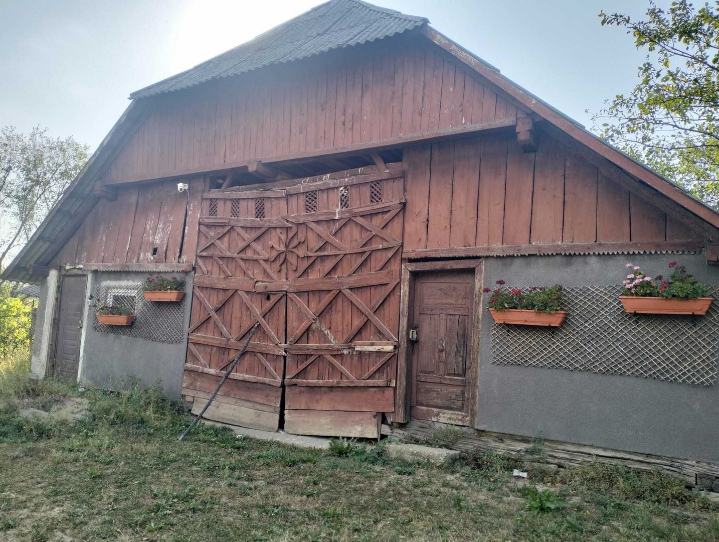 Casa 81mp, teren 81 ari, anexe, pomărie tânără de meri de vânzare - Poză 6