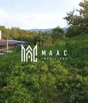 Teren intravilan 1000 mp | Cisnădioara-Sibiu| P+1+M | Utilități | - Poză 1