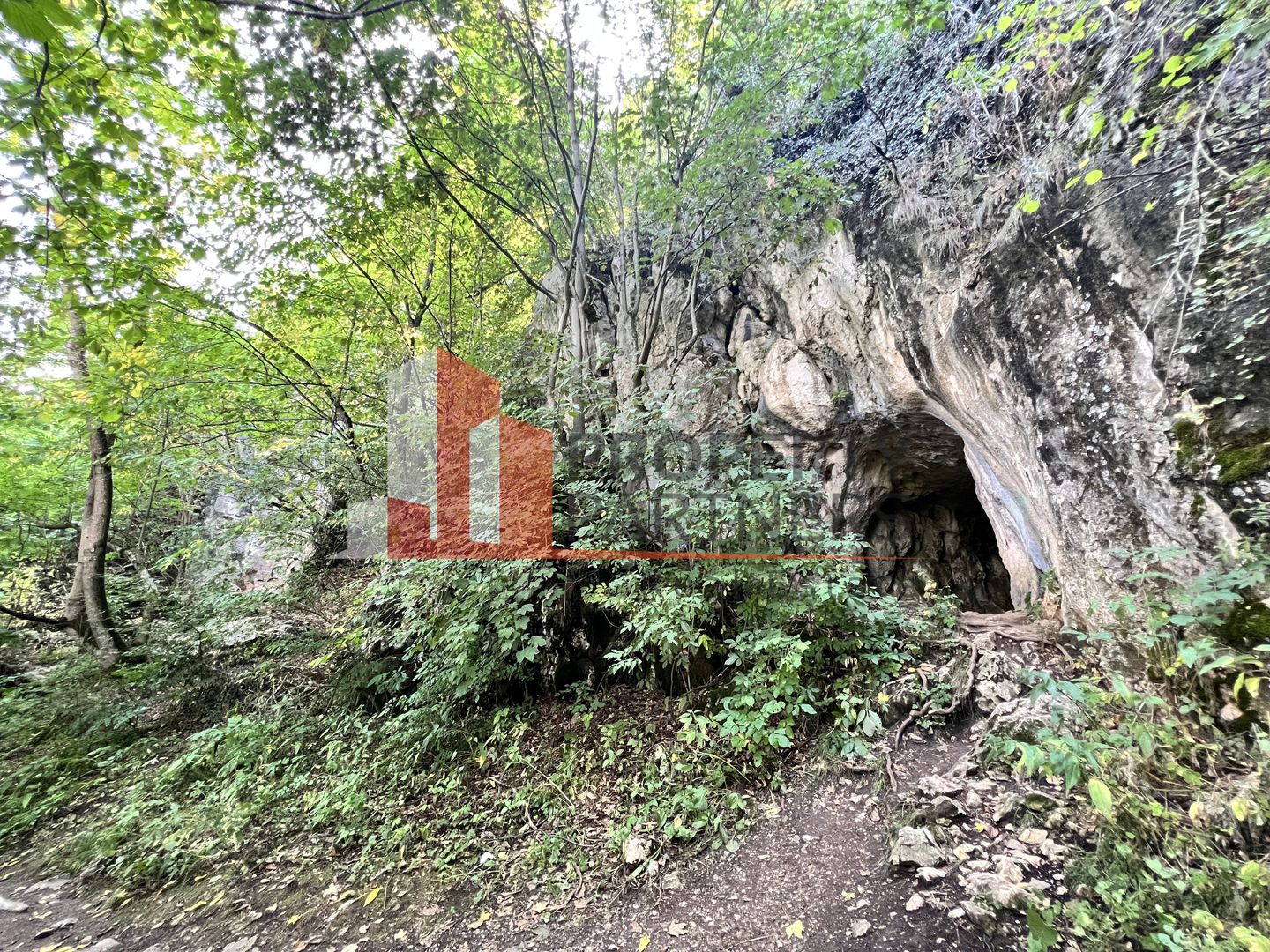 Teren de vânzare langa  Peștera Liliecilor  in Sat Pestera - Poză 6