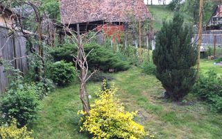 Casă individuală I Rustic I 100 mpu I Curte 2000 mp I Nemșa - Poză 21