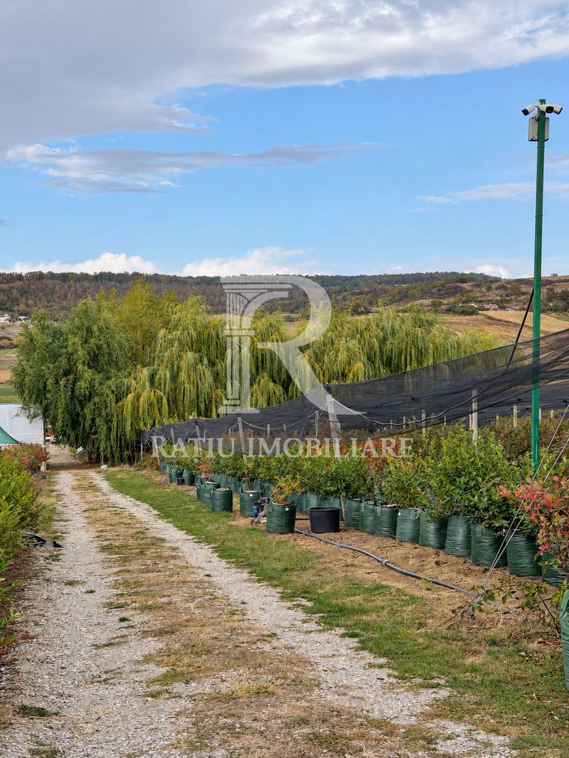 Afacere agricolă la cheie | Plantație afine | Solarii | 18.800 mp - Poză 1