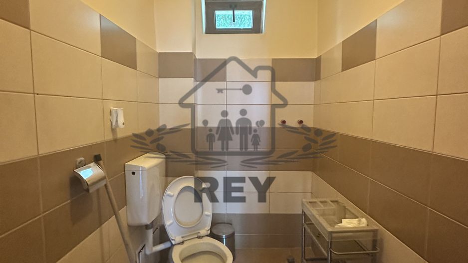 Imobil 3 niveluri, renovat, cu spațiu comercial si 2 ap.- Bd. Victoriei - Poză 10