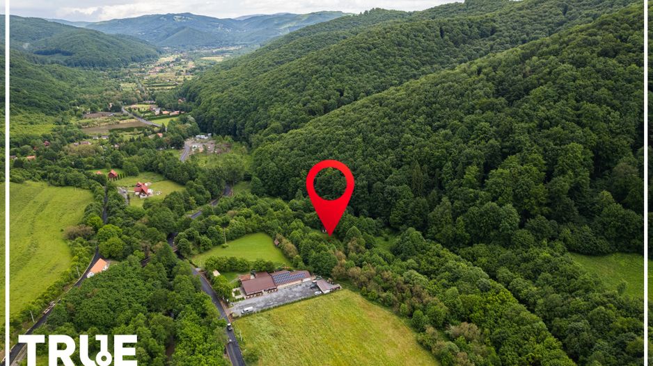 Teren intravilan 2.800 m² în Câmpu Cetății – liniște și natură - Poză 11