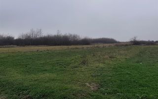 Teren intravilan in Cihei - Poză 4