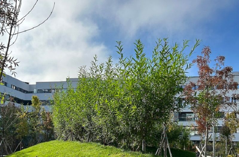 3 camere 76 mp SU + Balcon 6.5mp - Zona Lac Straulesti-Mall Colosseum - Poză 26