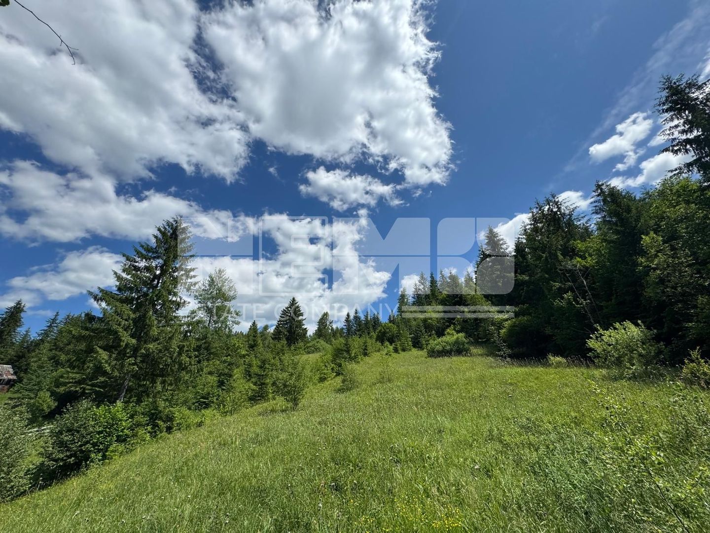 TEREN EXTRAVILAN DE VANZARE | CAMPULUNG MOLDOVENESC | 258.720€ - Poză 4