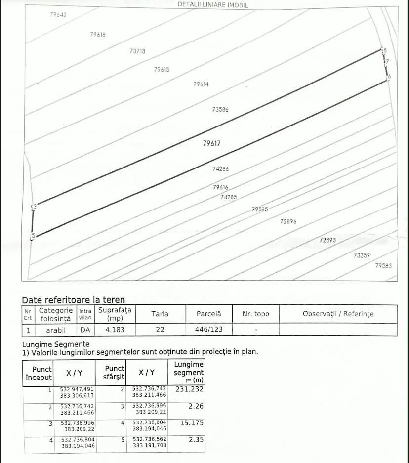 Teren de vânzare in comuna Șotânga, sat Teiș – 4183 mp - Poză 2