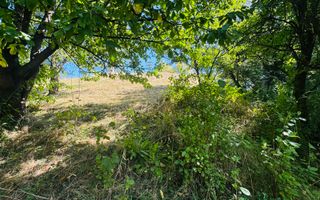 TEREN INTRAVILAN 3234 MP LEREȘTI VOINEȘTI ARGEȘ - Poză 20