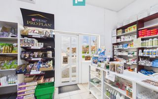Clădire 446 mp | Teren 1.579 mp Nojorid - Poză 5