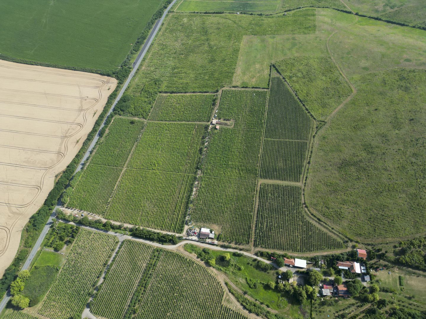 Vie Tradițională „Halta Lupilor” - Poză 38