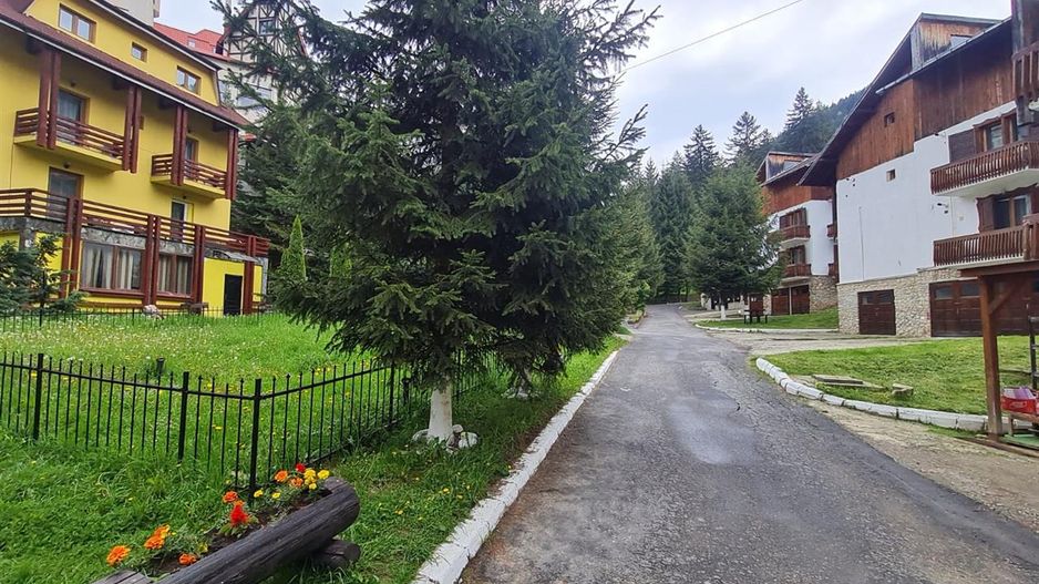 Casa ta de vacanta, imbratisata de natura,3 terase, parcare, Poiana Brasov - Poză 7