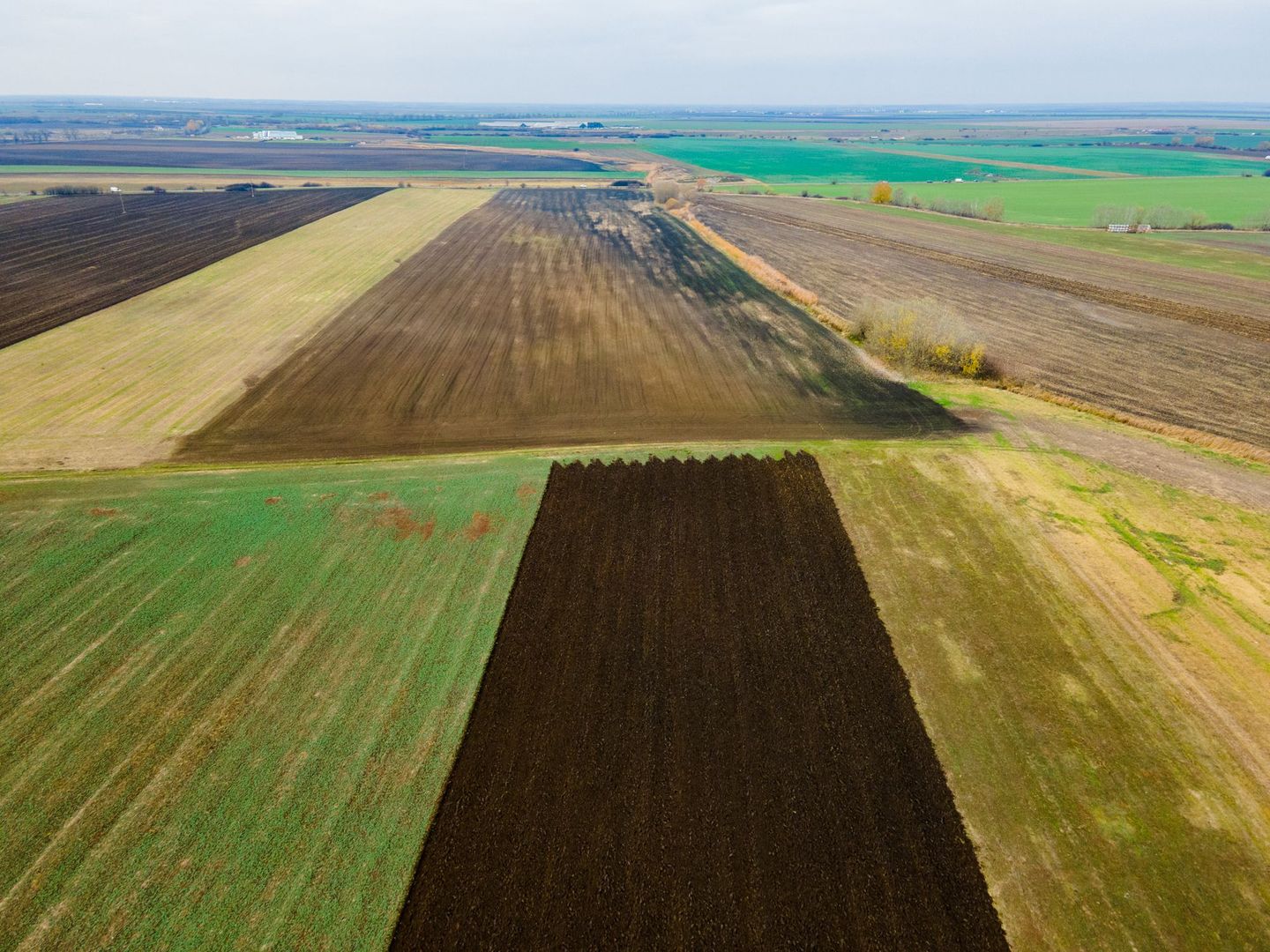 Teren Sânpaul lângă șosea - Poză 2