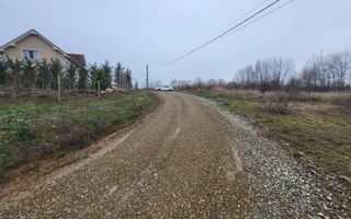 Teren extravilan Paleu - Poză 3