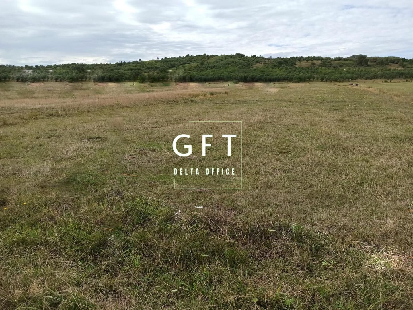 TEREN INTRAVILAN 5000 mp-ideal case,hale-Livezile PRET PROMO! - Poză 1