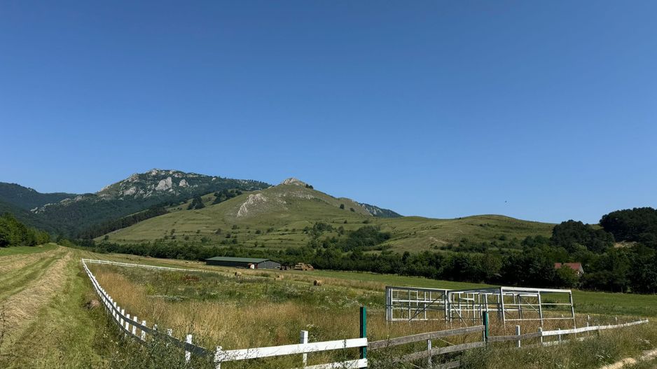 Teren de vanzare – Rimetea, Alba | 9000 mp - Poză 3